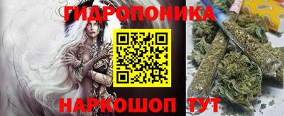 Альфа ПВП Моздок